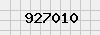 security_code