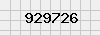 security_code