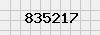 security_code