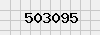 security_code