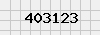 security_code