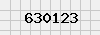 security_code