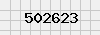 security_code