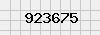 security_code