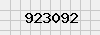 security_code