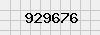 security_code