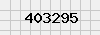 security_code