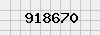 security_code