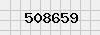 security_code