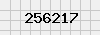 security_code
