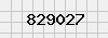 security_code