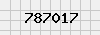 security_code