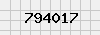security_code