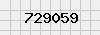 security_code