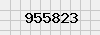 security_code