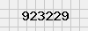 security_code