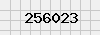 security_code
