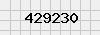 security_code
