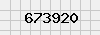security_code