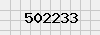 security_code