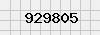 security_code