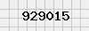 security_code