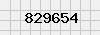 security_code