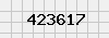 security_code
