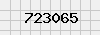 security_code