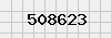 security_code