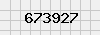 security_code