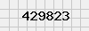 security_code