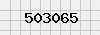 security_code