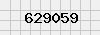 security_code
