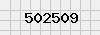 security_code