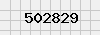 security_code
