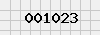 security_code