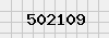 security_code